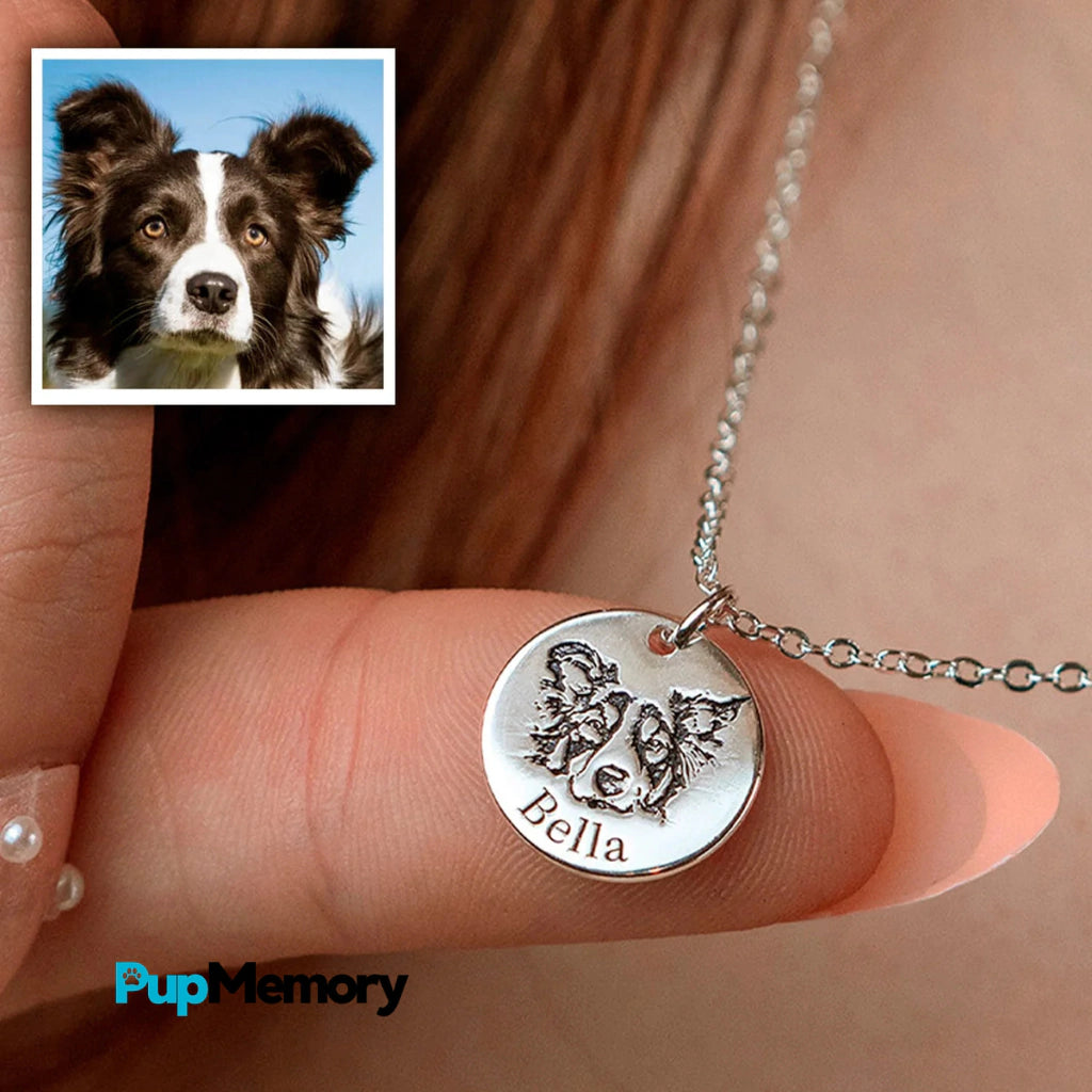 ACCESORIO DE MASCOTAS